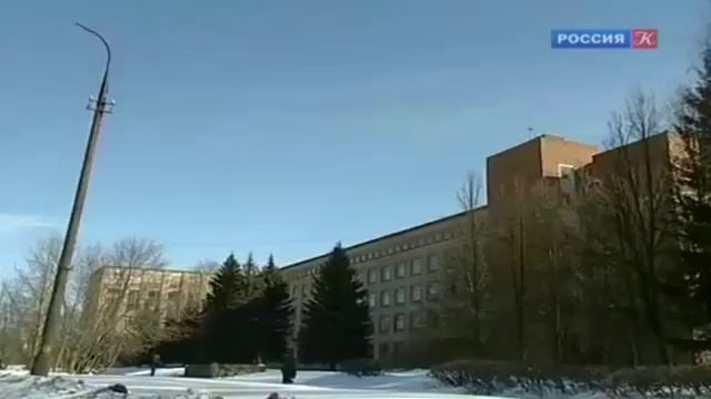 Заменитель человеческой крови (2016)