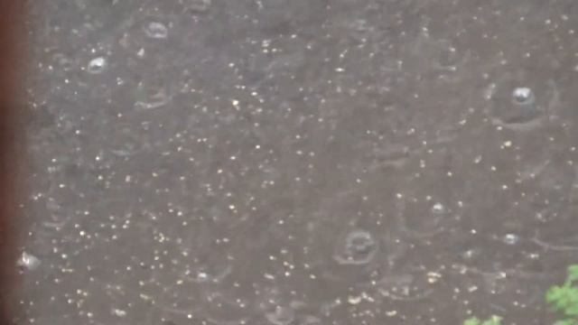 Град в Питере сегодня 15.08.2021