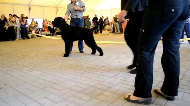 2a491971fec761ae0f174528368214db