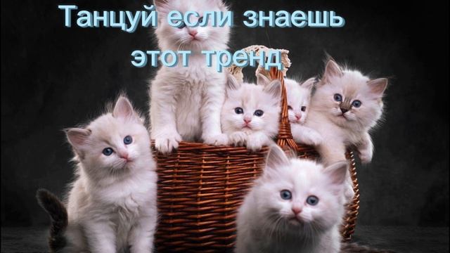 Танцуй если знаешь этот тренд тикток тренды 2023года