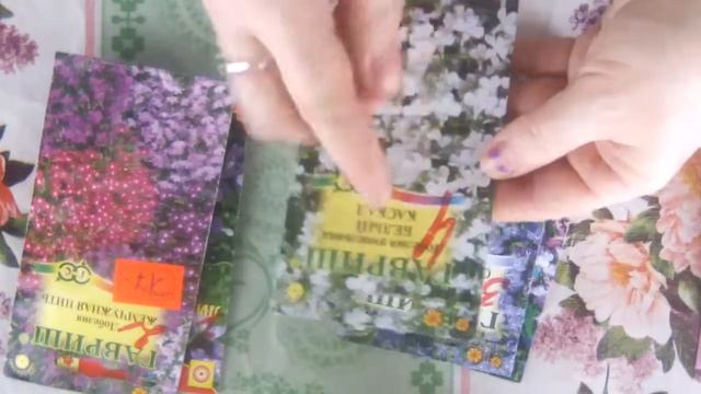 Обзор семян  Петуний и Лобелии