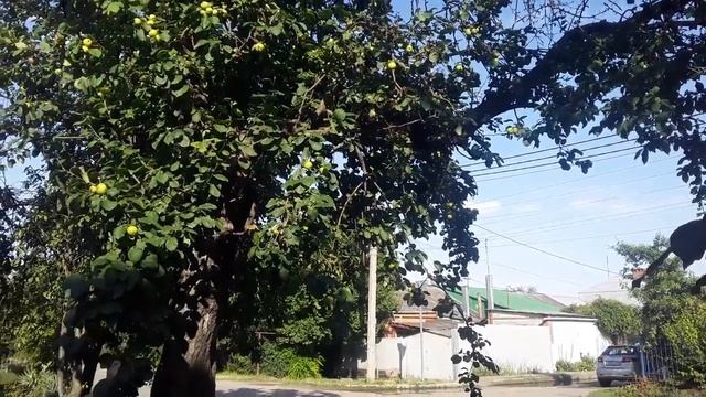 6f56169eeb0a18e22f6e643524669217