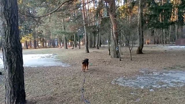 Остановка из погони за движущимся мячом