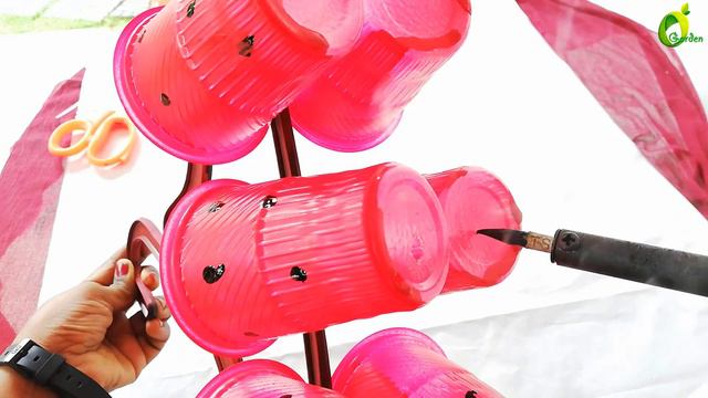 Use & Throw Cups Planter/unique Idea/use Of Waste Hanger//ORGANIC GARDEN