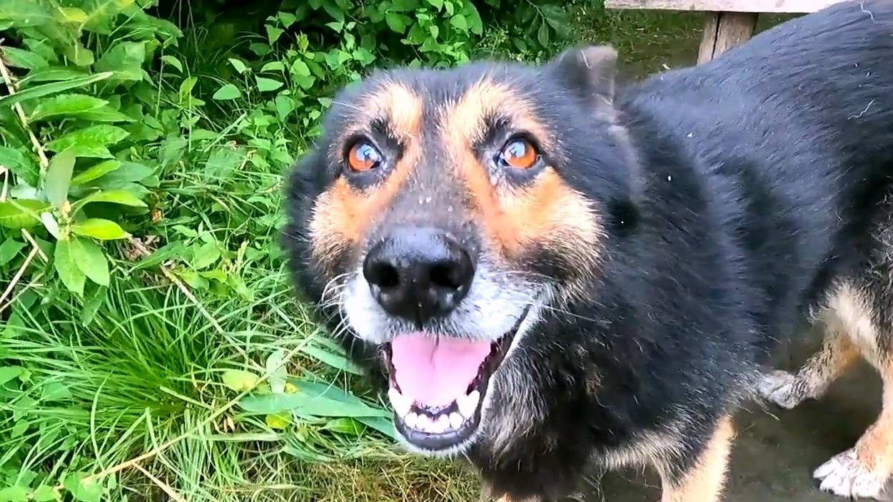 70a3d54ba4ec23a1197ab80045492ccd