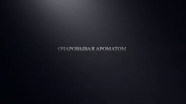 SPA программа 