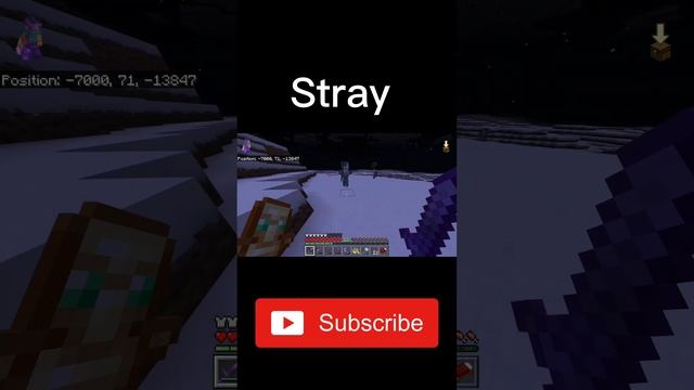 I KILLED A STRAY IN MINECRAFT 1.19!