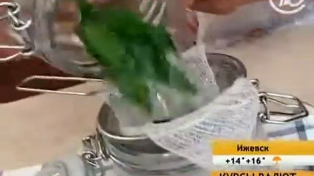 Пасcифлора от алкоголизма. Народная медицина