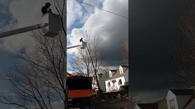 How To Set Up A Dipole Antenna The Winner Way.