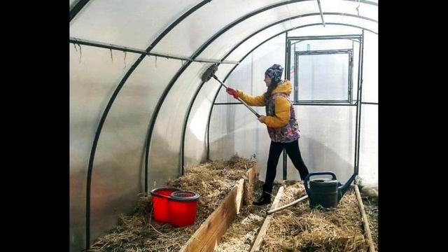 Как помыть теплицу изнутри
