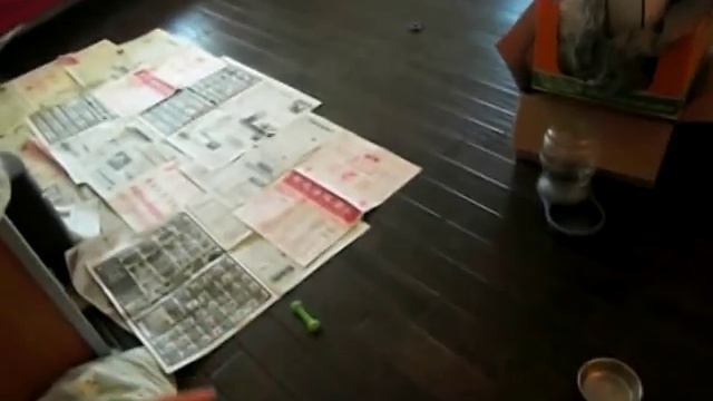 Lhasa Apso Puppies 8 Weeks Old