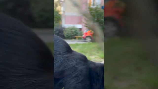 7b5befc9ea9036e61b2b8d286d212d58