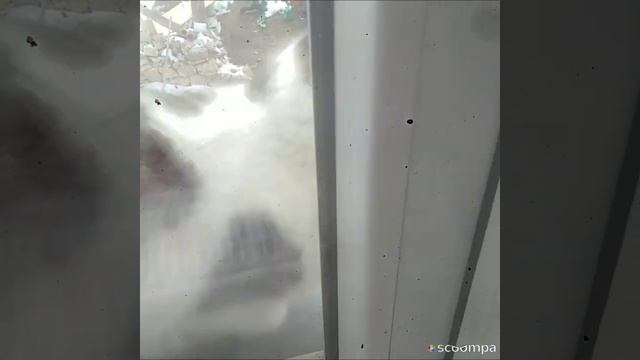 Kedileri çoooooook Seviyorum Siz Seviyormudun Yoruma Yazınnn😻