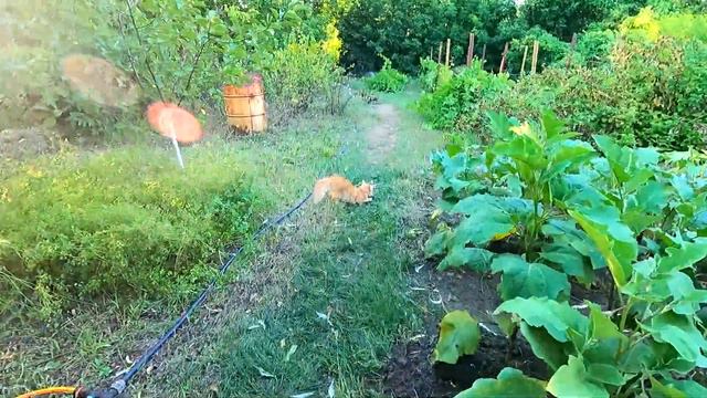 A80c6df3376ae3ff188ddce14fb98ed3