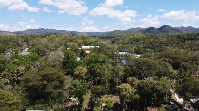 Mavic Mini Problem Nobody Is Talking About