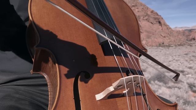 7eacc6f87d2e5bdc5619ec7761126c5a