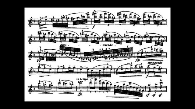 Dvorak, A.L. Mvt2 Violin Concerto