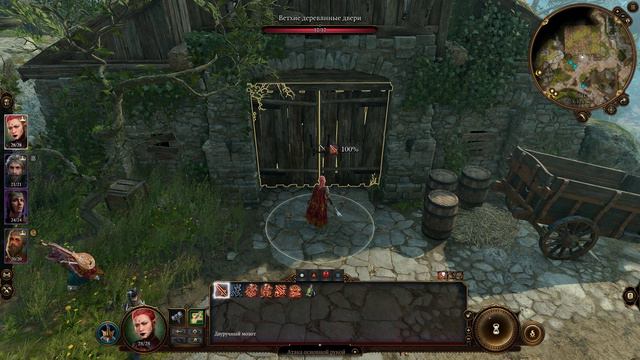 (Baldur's Gate 3) надя и паша