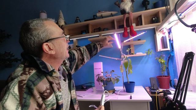 LED Grow Lights For Indoor Plants Full Spectrum, HAARAY 3-Head Desk Plant L