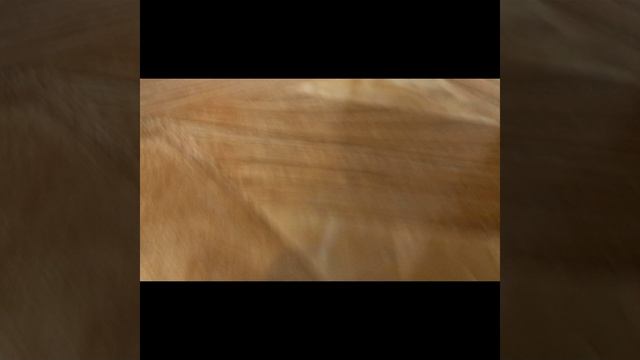 кеша возвращение домой 5серия