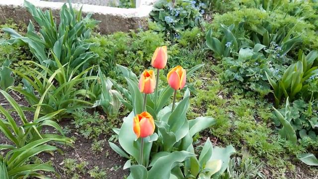 Весенняя эстафета