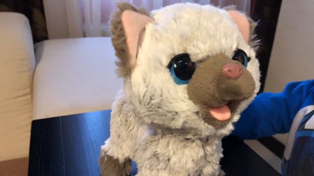 НОВАЯ ИГРУШКА брата 😻КОШЕЧКА FurReal
