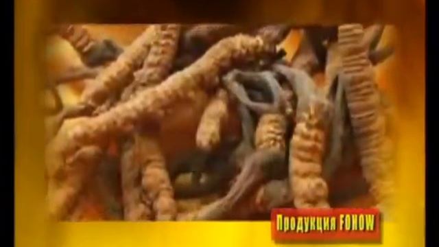Эликсир Феникс компании FOHOW