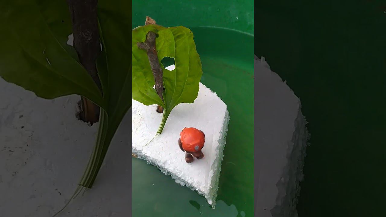 4 сентября 2024 г.