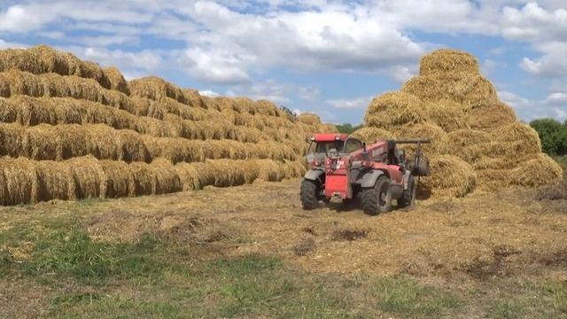 Уборочная компания 2020: Прессование и транспортировка соломы в СПК Гигант