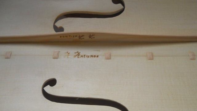 Viola Andrea Guarneri Conte Vitali