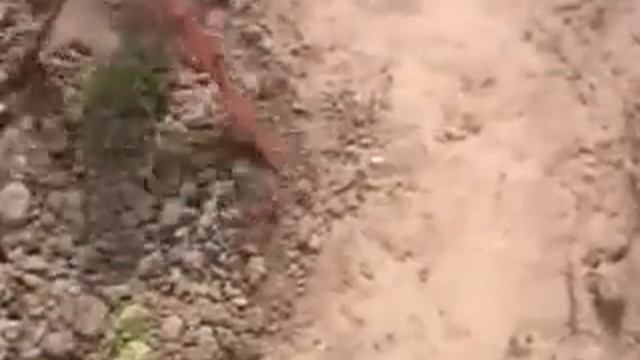 Самодельный плуг. Сменные ножи.