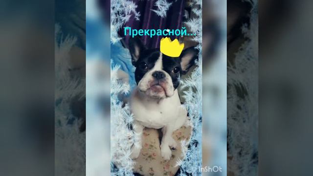 C8aa39371a6d90eb0e2c323e8c323eab