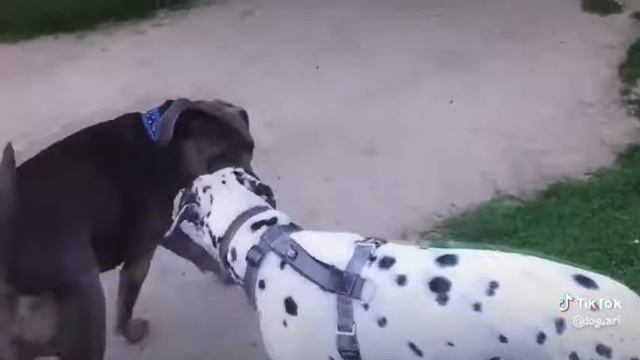 26 марта 2020 г.