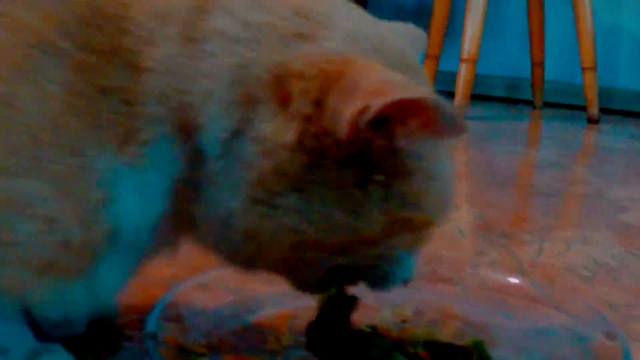 3149638dec72ce3bb641285c3447cccb