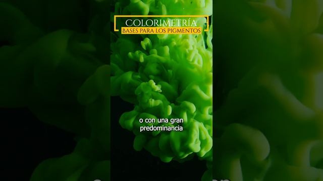 LAS BASES De Los PIGMENTOS De Micropigmentación