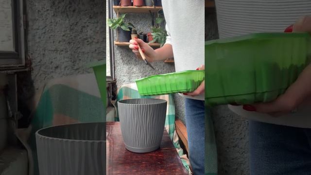 Soil Replacement For Ivy (headers)/Заміна ґрунту для плюща (хедери)