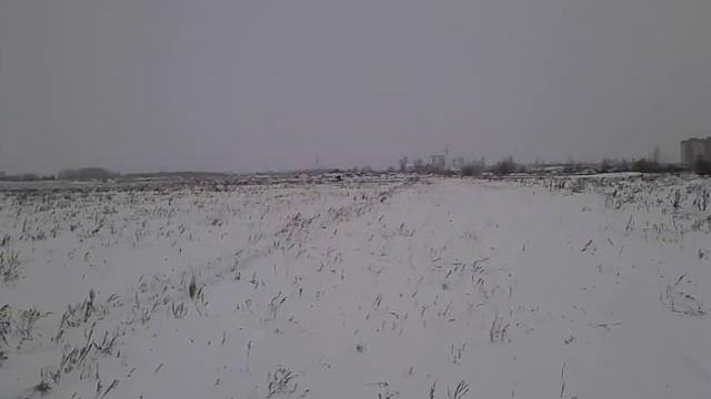 Снегоход Рысь