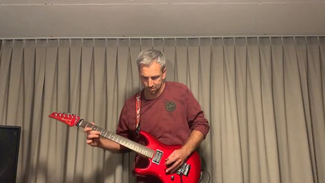 Joe Satriani The Mighty Turtle Head Cover By Harm