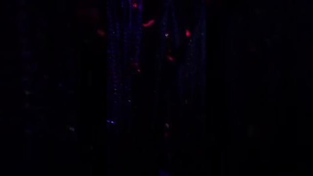 AngelinaZa    Симачев  Танцуем