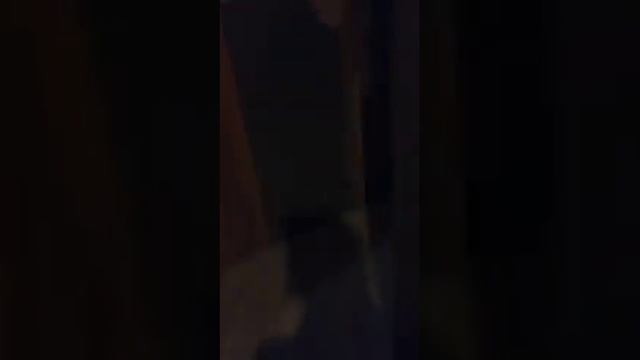 Сен сломал игрушку за 30$евро