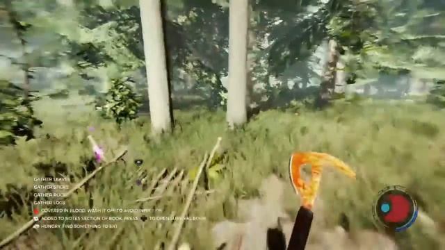 The Freaky Forest Pt 2