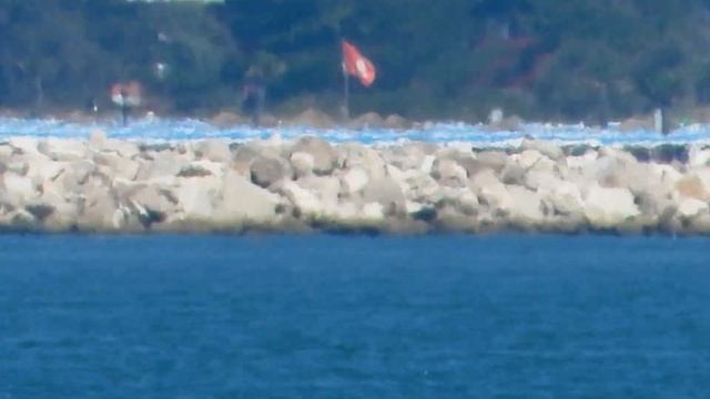 Nikon P1000 Beach | ZOOM TEST | 125X Zoom