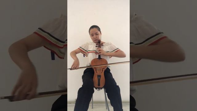 Ш.Берио Концерт №9.3часть