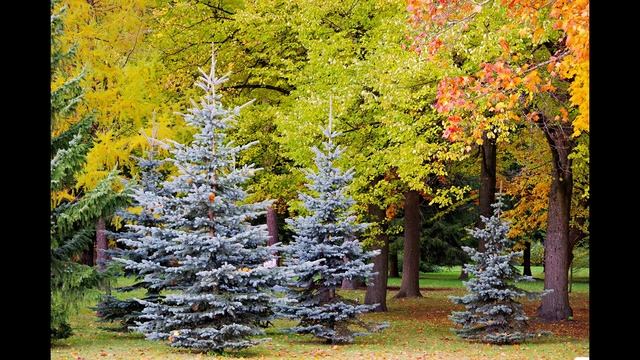 9a61d4b129b20e08a4219dca53ecac78