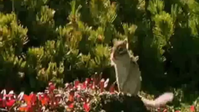смех до слёз =D
