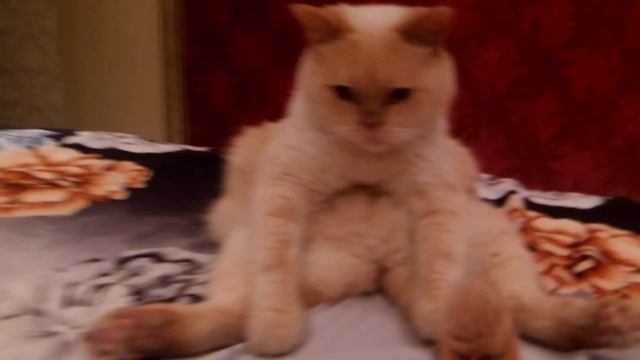 A95e4318084beb3c1825c6b4f9f615a8