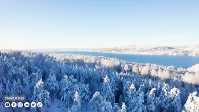 ❄❄❄ Wonderful Winter Scenes And Soothing Music For Relaxation ???