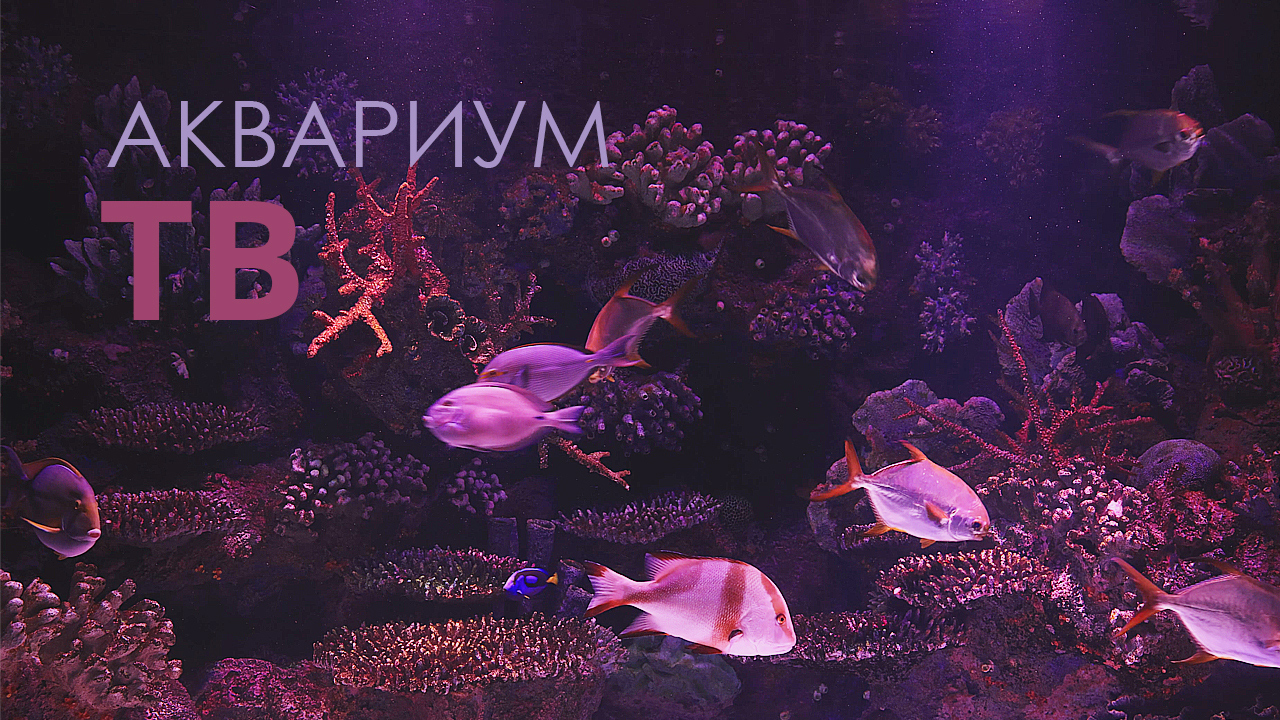 309c8e6f9e1ca0103197a0a3294c96d8