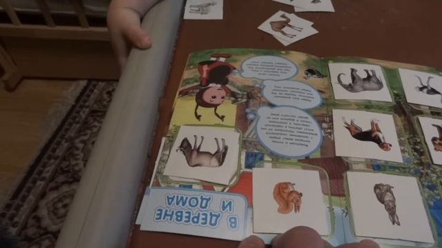 Детский канал - детские развивающие игры - детское лото