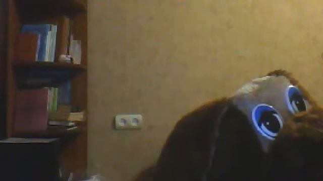 Видео с веб-камеры. Дата: 3 сентября 2013 г., 20:11.